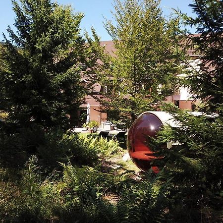 Hotel Cote Foret Orbey Zewnętrze zdjęcie